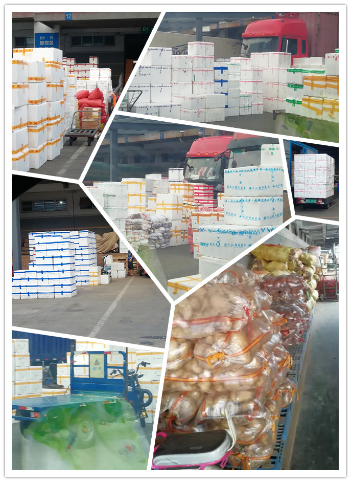 J9旗舰厅(中国区)官方网站