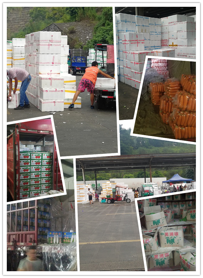 J9旗舰厅(中国区)官方网站