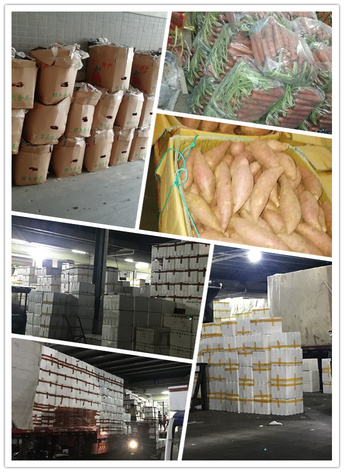 J9旗舰厅(中国区)官方网站