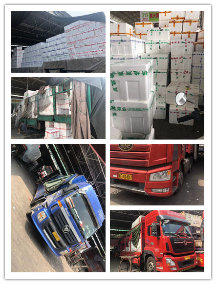 J9旗舰厅(中国区)官方网站