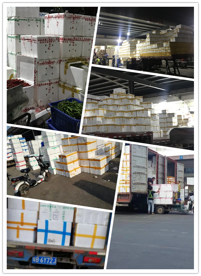 J9旗舰厅(中国区)官方网站