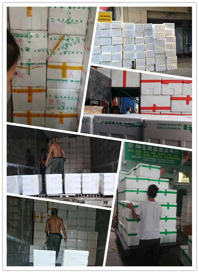 J9旗舰厅(中国区)官方网站