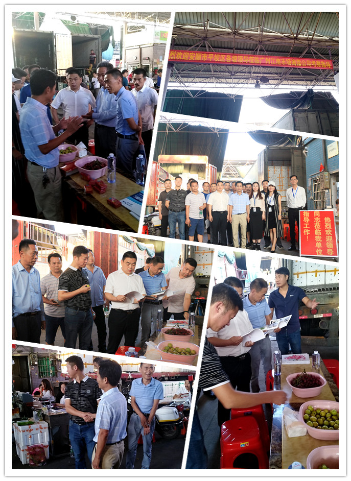 J9旗舰厅(中国区)官方网站