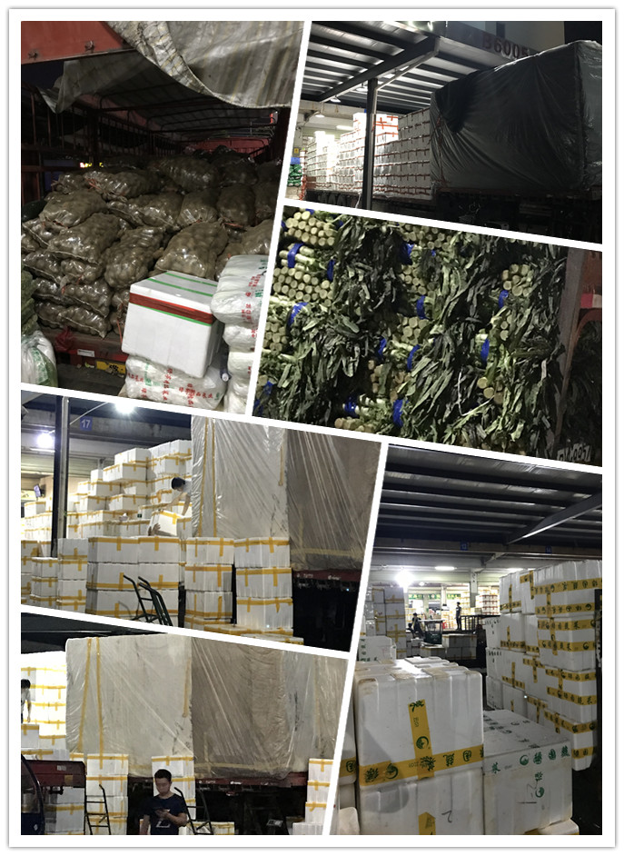 J9旗舰厅(中国区)官方网站