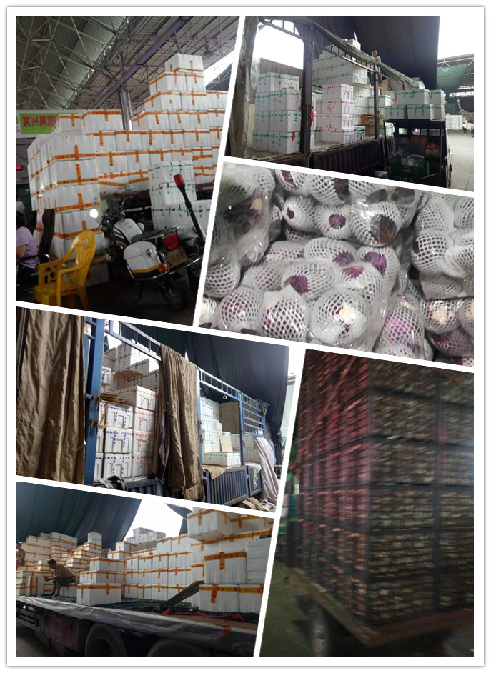 J9旗舰厅(中国区)官方网站