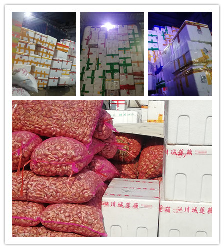 J9旗舰厅(中国区)官方网站