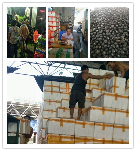 J9旗舰厅(中国区)官方网站