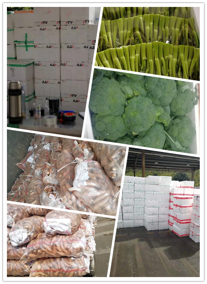 J9旗舰厅(中国区)官方网站