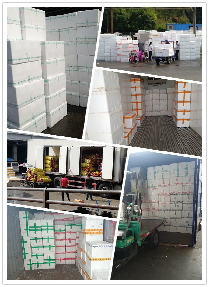 J9旗舰厅(中国区)官方网站