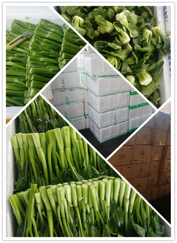 J9旗舰厅(中国区)官方网站