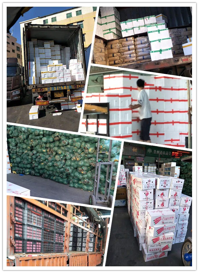 J9旗舰厅(中国区)官方网站