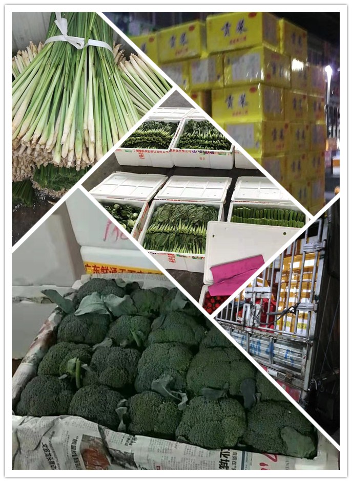 J9旗舰厅(中国区)官方网站