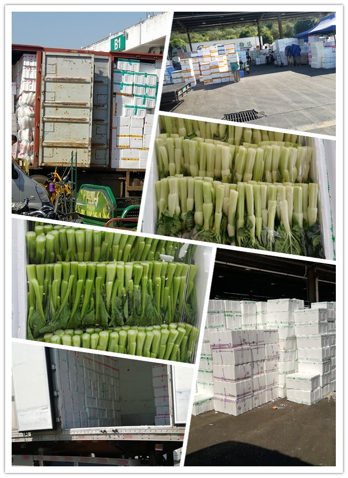 J9旗舰厅(中国区)官方网站