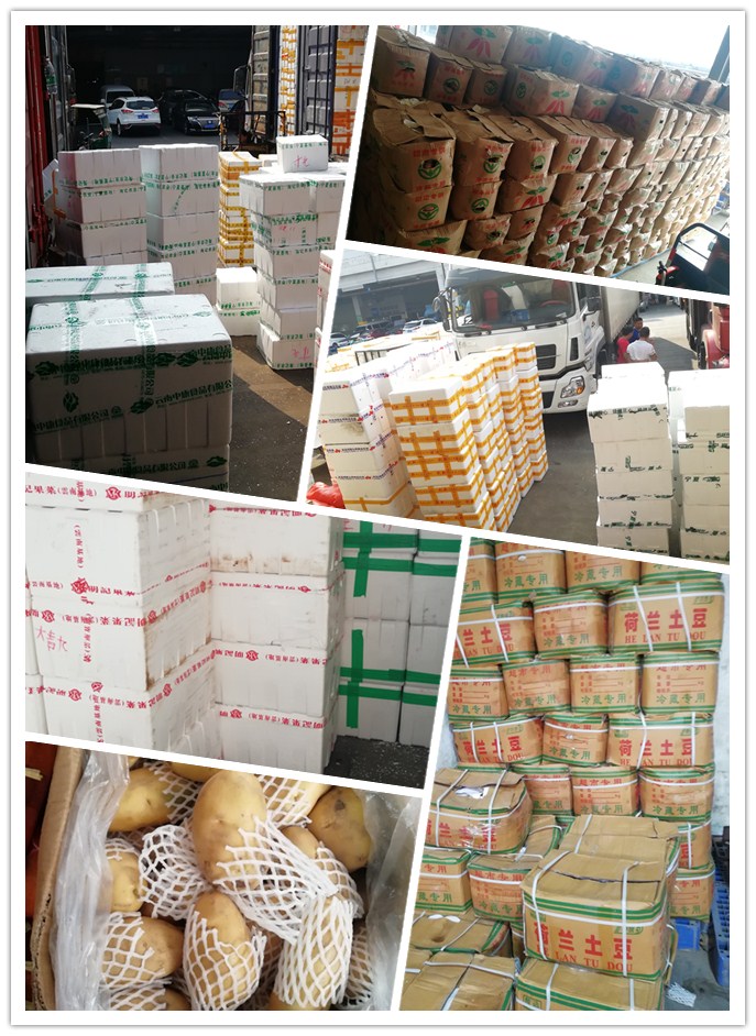 J9旗舰厅(中国区)官方网站