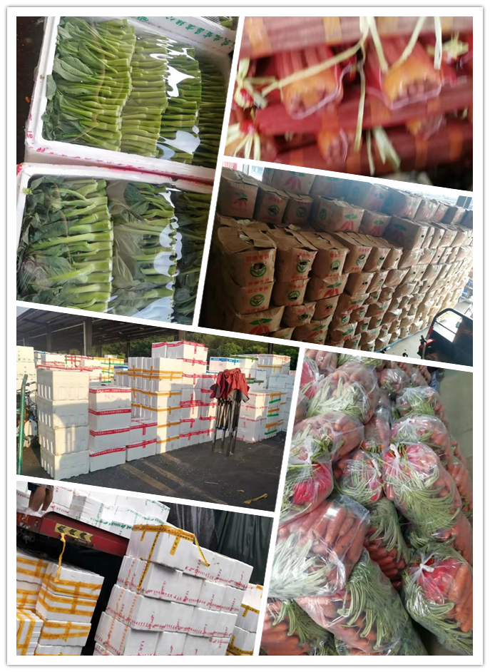 J9旗舰厅(中国区)官方网站