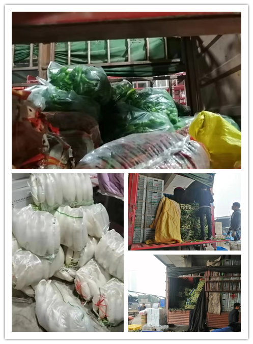 J9旗舰厅(中国区)官方网站