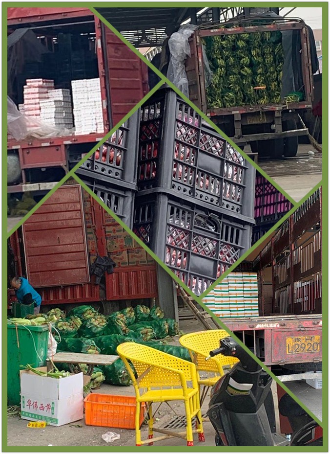 J9旗舰厅(中国区)官方网站