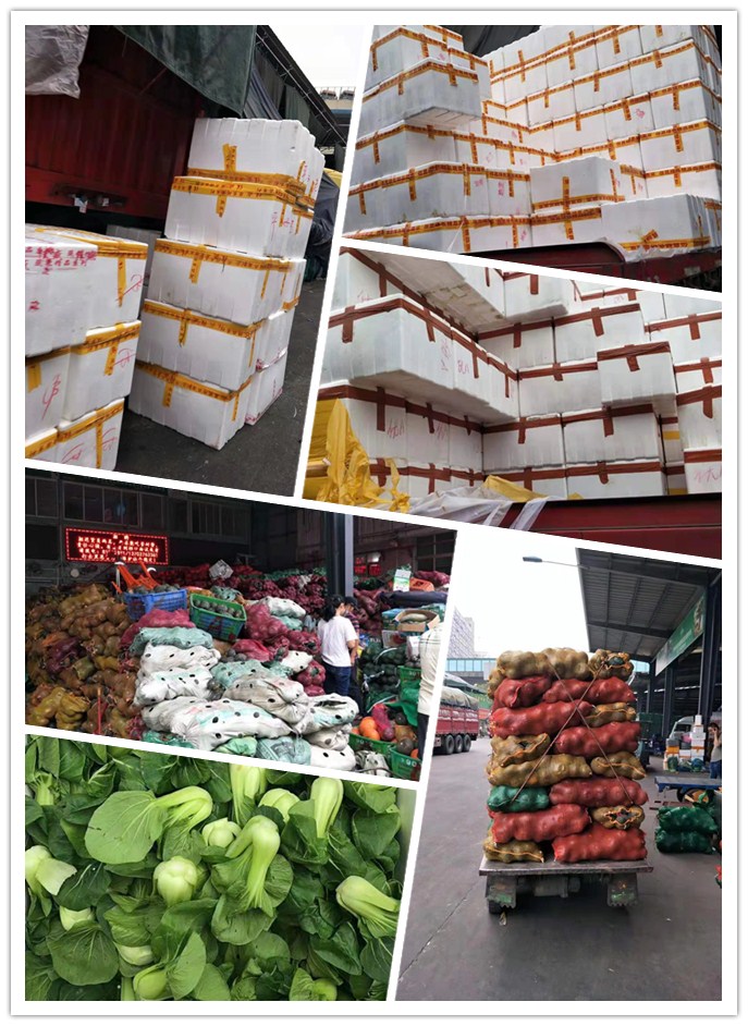 J9旗舰厅(中国区)官方网站