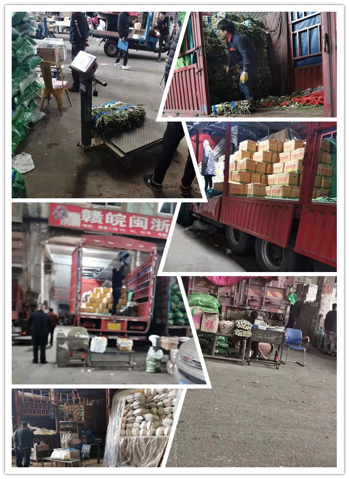 J9旗舰厅(中国区)官方网站