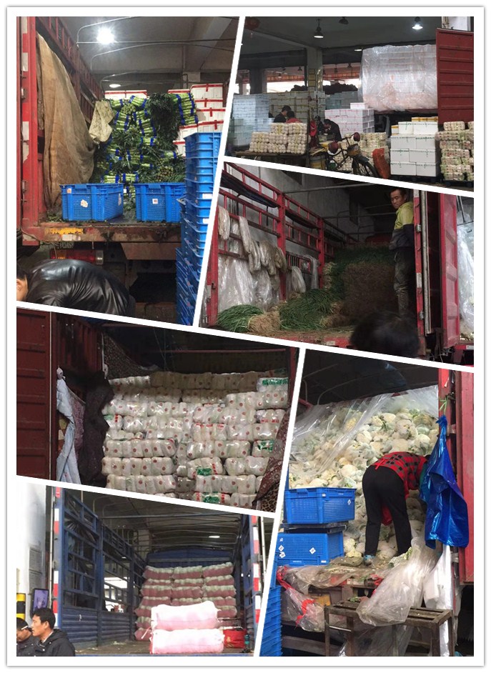 J9旗舰厅(中国区)官方网站