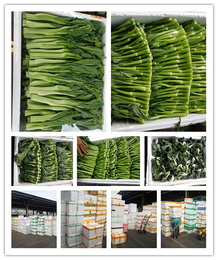 J9旗舰厅(中国区)官方网站