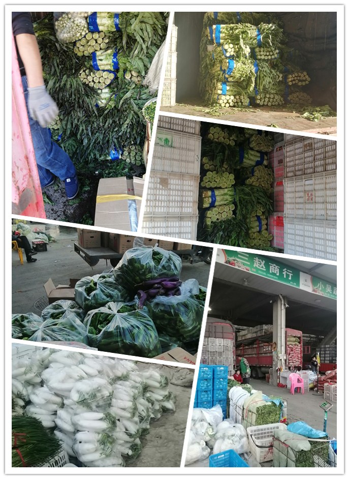 J9旗舰厅(中国区)官方网站