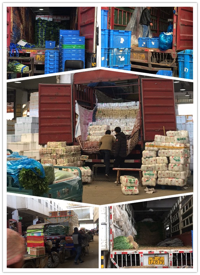 J9旗舰厅(中国区)官方网站