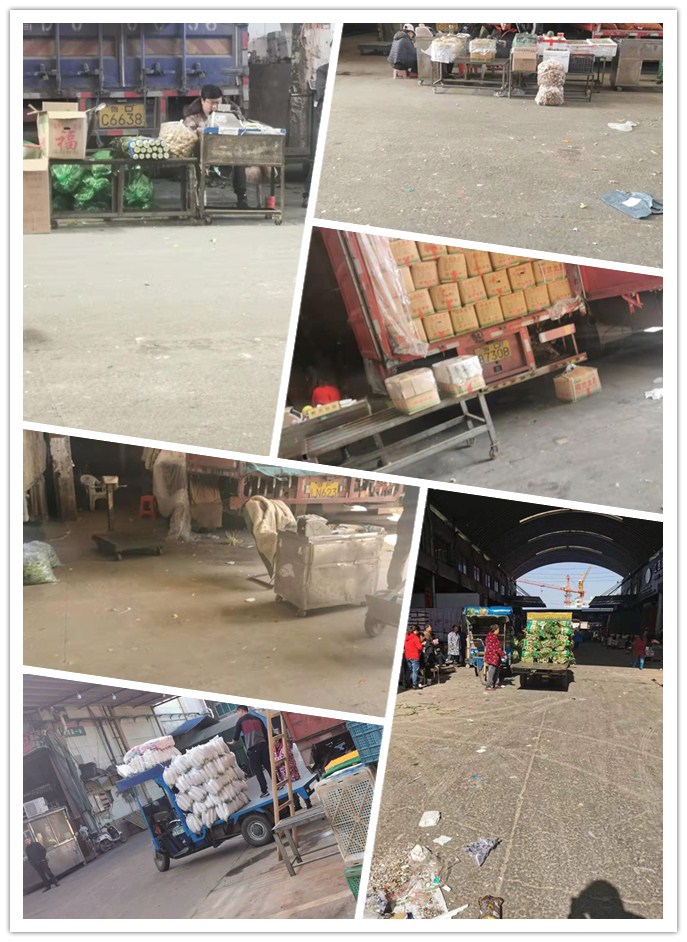 J9旗舰厅(中国区)官方网站