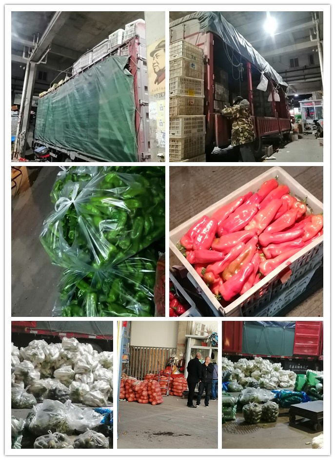 J9旗舰厅(中国区)官方网站