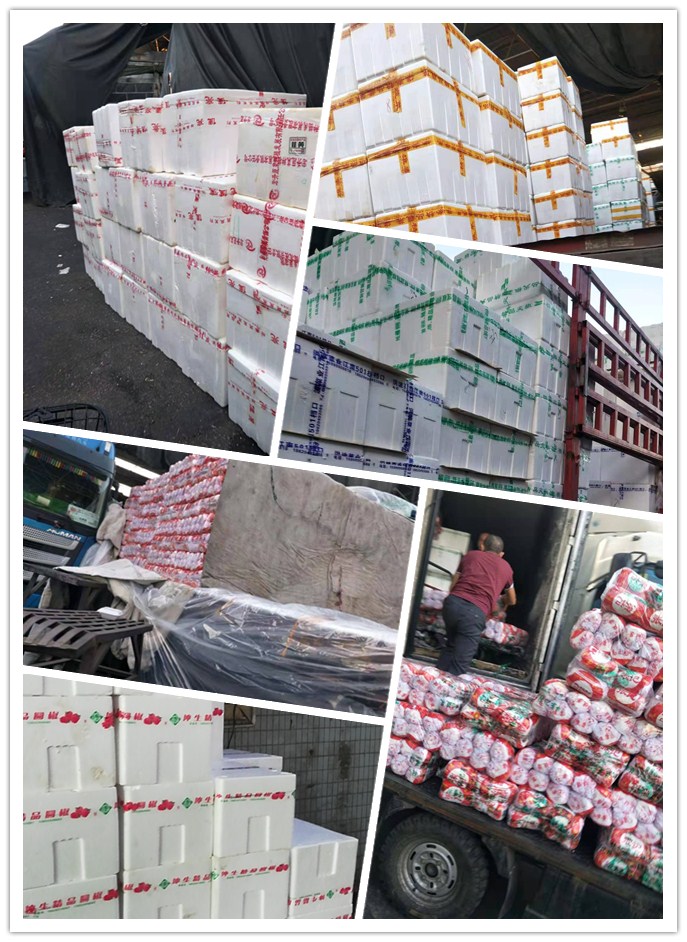 J9旗舰厅(中国区)官方网站