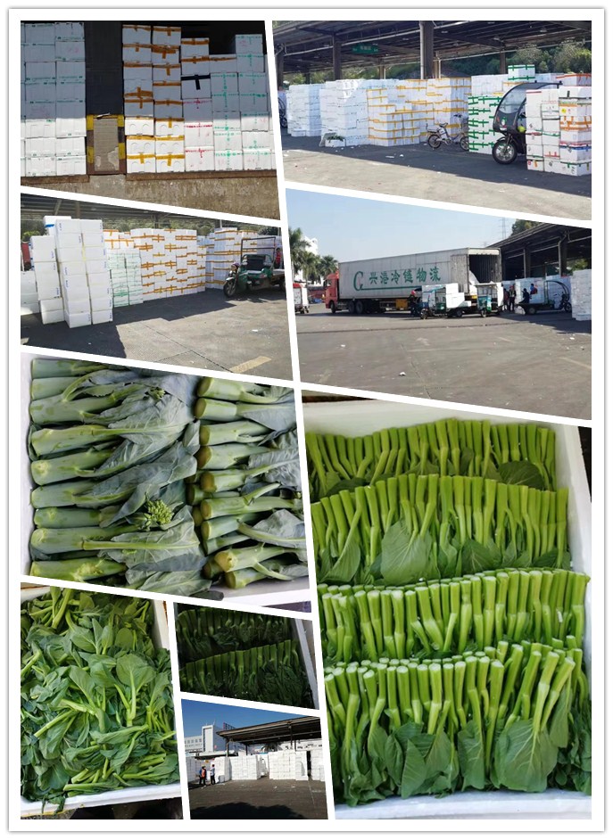 J9旗舰厅(中国区)官方网站