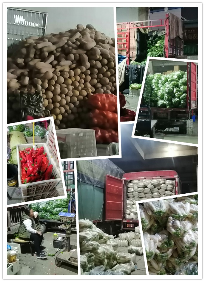 J9旗舰厅(中国区)官方网站