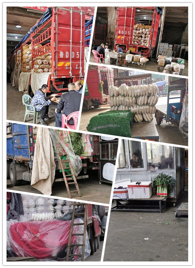 J9旗舰厅(中国区)官方网站