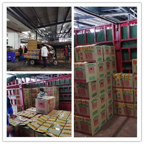 J9旗舰厅(中国区)官方网站