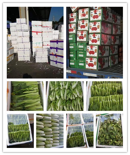 J9旗舰厅(中国区)官方网站