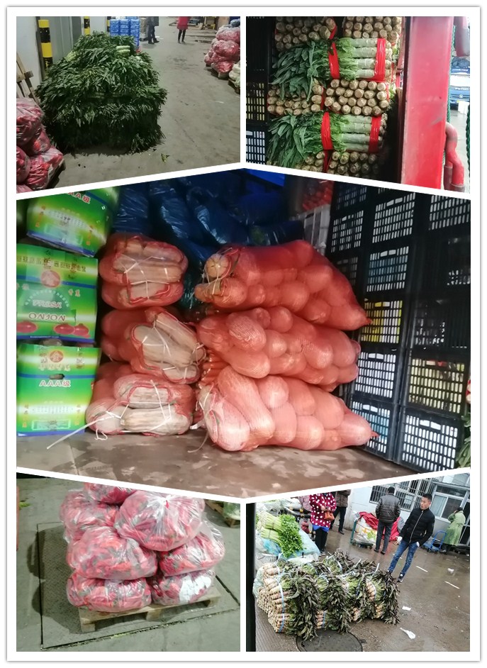 J9旗舰厅(中国区)官方网站