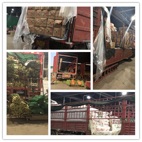 J9旗舰厅(中国区)官方网站