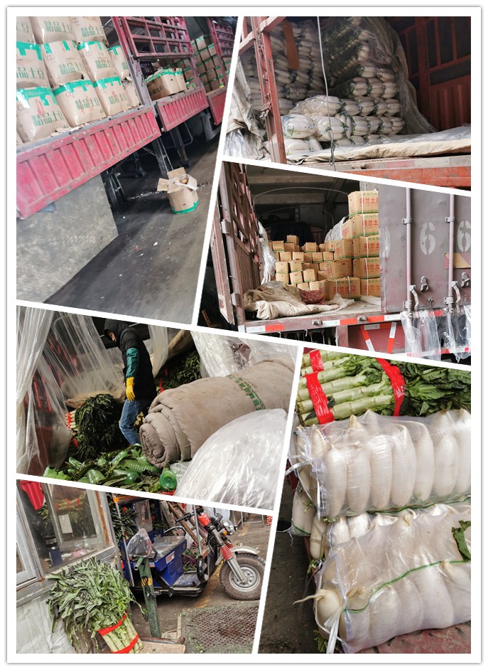 J9旗舰厅(中国区)官方网站