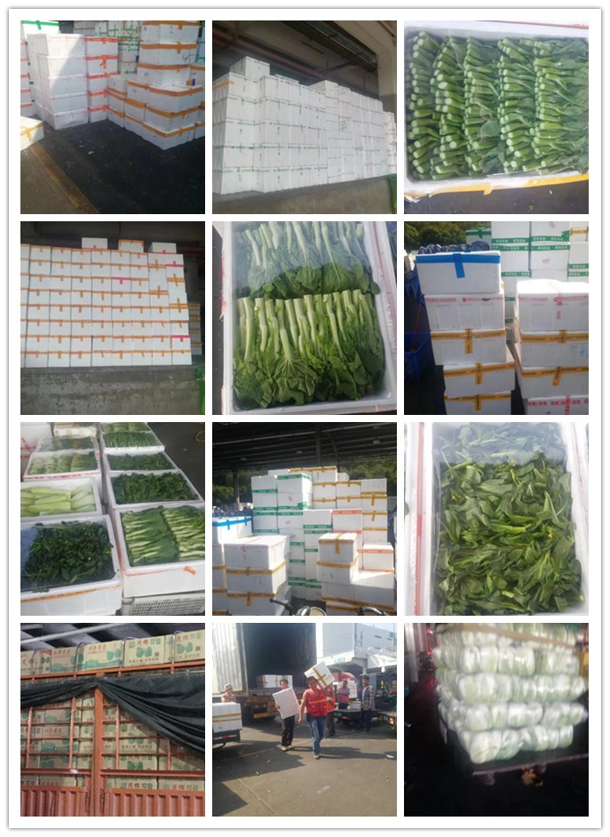 J9旗舰厅(中国区)官方网站