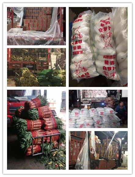 J9旗舰厅(中国区)官方网站