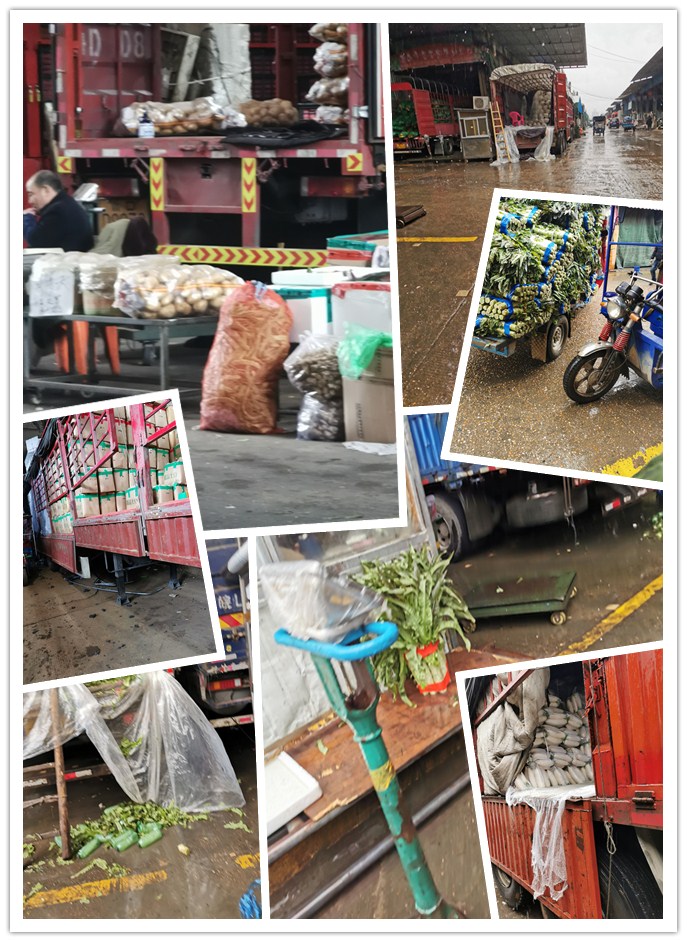 J9旗舰厅(中国区)官方网站