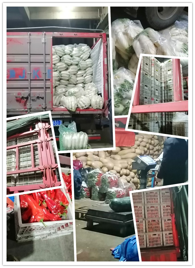 J9旗舰厅(中国区)官方网站