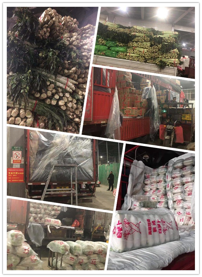 J9旗舰厅(中国区)官方网站