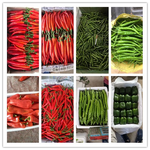 J9旗舰厅(中国区)官方网站