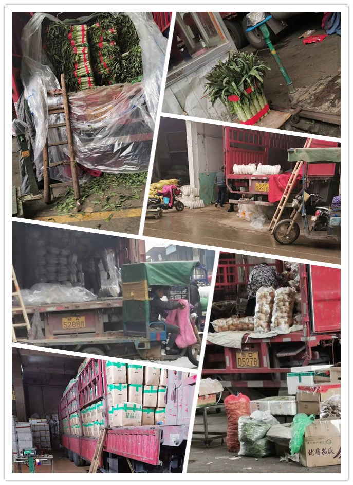 J9旗舰厅(中国区)官方网站