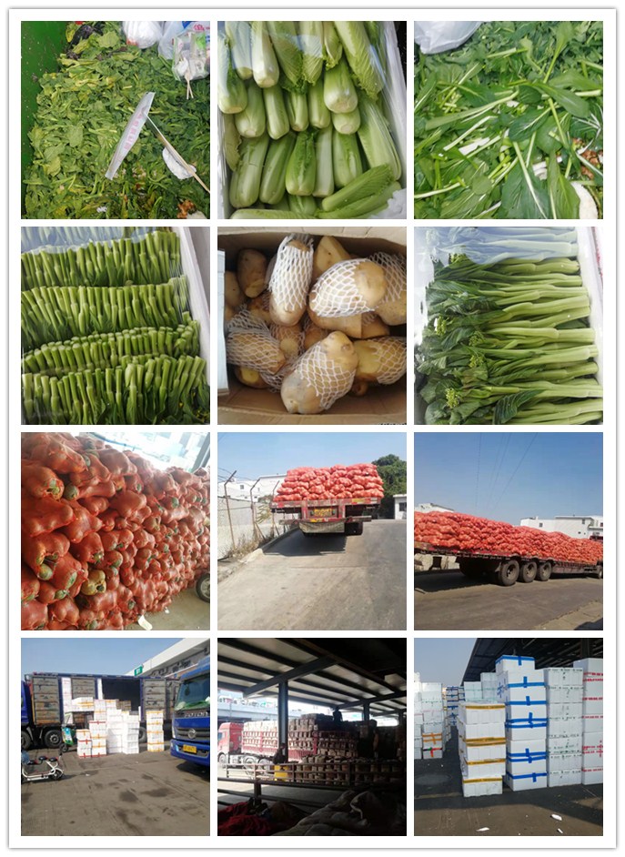 J9旗舰厅(中国区)官方网站