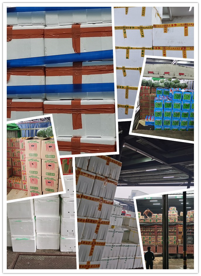 J9旗舰厅(中国区)官方网站