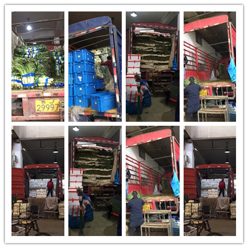 J9旗舰厅(中国区)官方网站