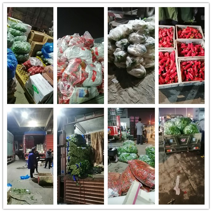 J9旗舰厅(中国区)官方网站