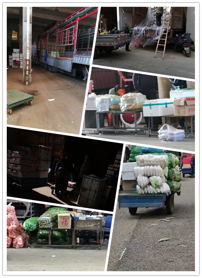 J9旗舰厅(中国区)官方网站